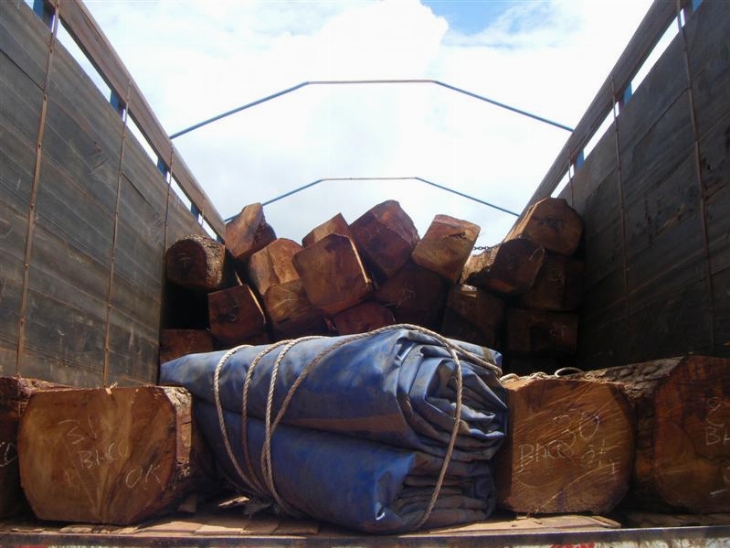 Contrebande : Grâce à l’appui de la jeunesse de M’bengue, le service des Eaux et forêt arrête un convoi frauduleux de bois.